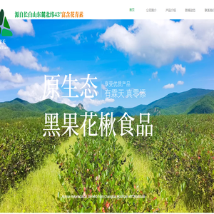 延边霖天黑果花楸（不老莓）食品