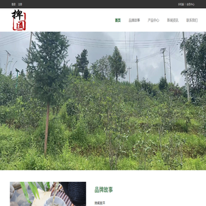 捭阖普洱