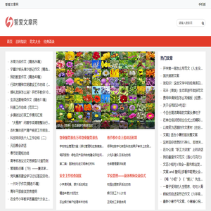 誓爱文章网