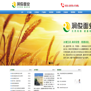 石家庄润俊面业有限公司