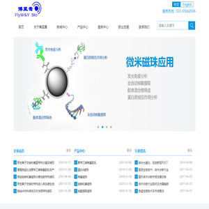 发光免疫磁珠　链亲和素磁珠