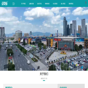 胜利之星集团