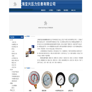 不锈钢压力表
