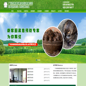 广州白蚁防治公司,广州杀虫灭鼠,广州家政服务,广州清洁服务