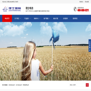 江苏理士