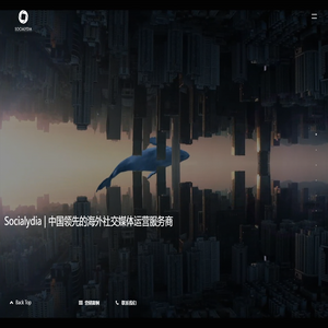 Socialydia海外SNS社媒营销