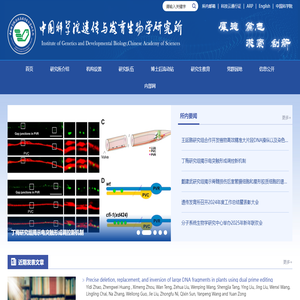 中国科学院遗传与发育生物学研究所