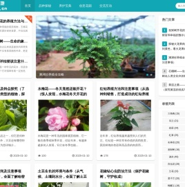 花趣天地
