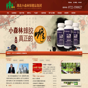 小森林集团