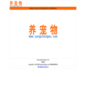 养宠物