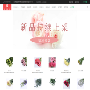 鲜花批发xhpf.com
