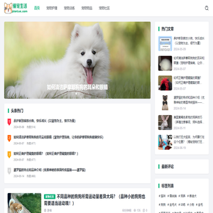 爱宠生活
