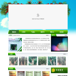 曼地亚红豆杉,曼地亚红豆杉苗木,曼地亚红豆杉基地,河南南阳西峡宝福康红豆杉种植有限公司