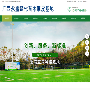 广西永盛绿化苗木草皮基地广西草皮