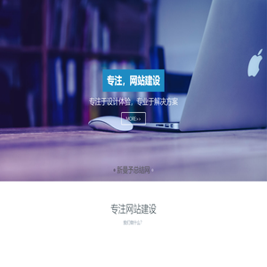 新曼予总结网