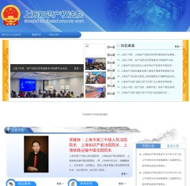 上海知识产权法院
