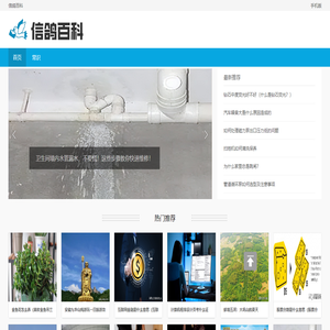 信鸽百科