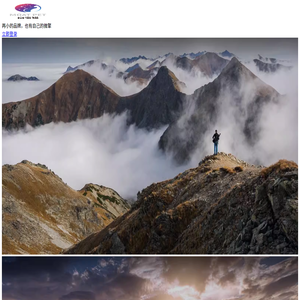 富豪猫