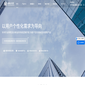 软件公司