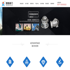 浙江鼎新阀门有限公司