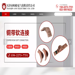 软铜排