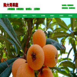 鲜当家果蔬种植场