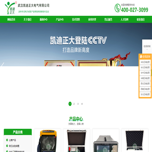 武汉凯迪正大