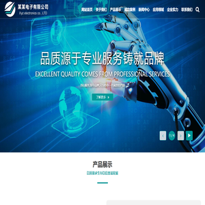 某某电子有限公司
