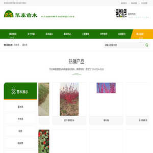 塔柏苗木,美人梅苗木,蜀桧苗木,红梅苗木,红叶碧桃苗木