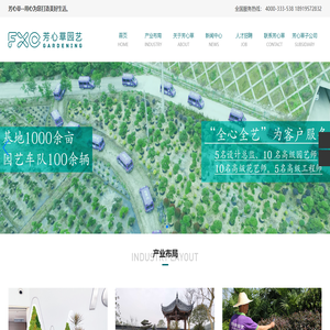 芳心草集团