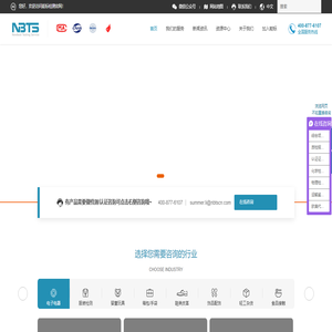 (NBTS)能标检测