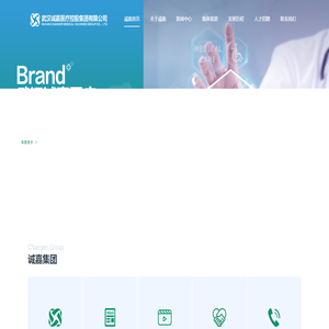 武汉诚嘉医疗控股集团有限公司