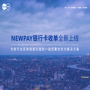 新生支付