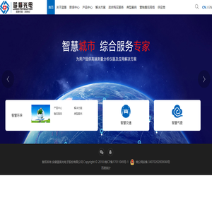 安徽蓝盾光电子股份有限公司