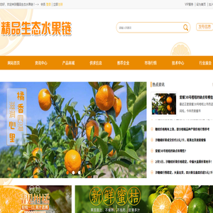 精品生态水果链