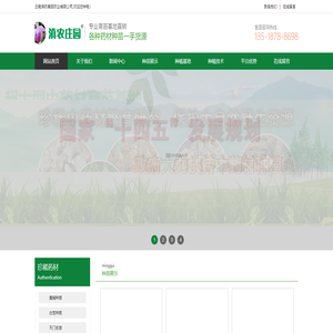 多花不倒苗黄精苗
