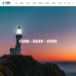 天瑞集团