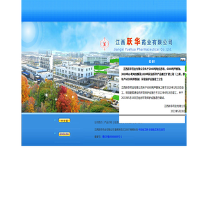 吡拉西坦(脑复康)