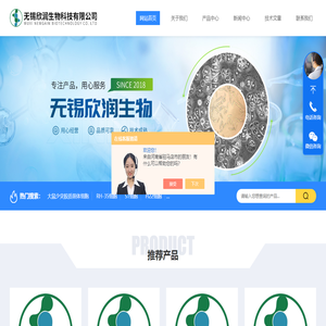大鼠骨髓内皮祖细胞