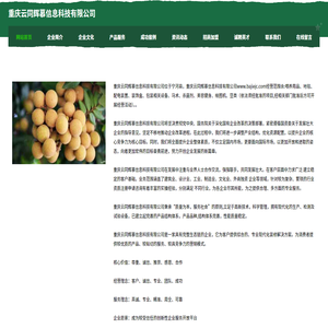 重庆云同辉慕信息科技有限公司
