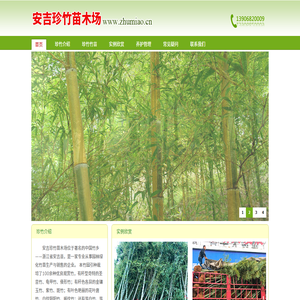 竹苗栽培