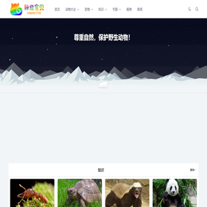 动物Top