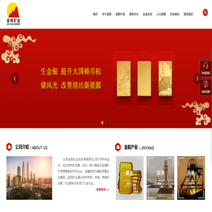 北京金阳矿业投资有限责任公司