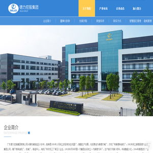 广东德力控股集团