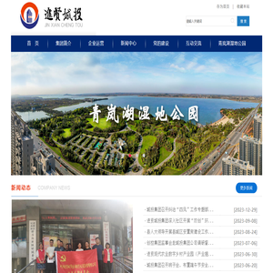 进贤城投