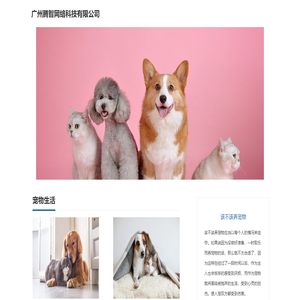 我爱猫狗