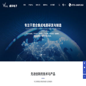 威科电子模块(深圳)有限公司
