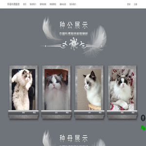 [幸福布偶猫舍]