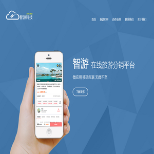 智游科技