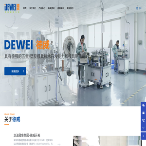 深圳市德威控制系统有限公司